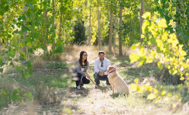 Vor dem Spaziergang mit dem Hund, lohnt es sich Spot-on-Präparate zu verwenden, um ihn vor Zeckenbissen zu schützen.