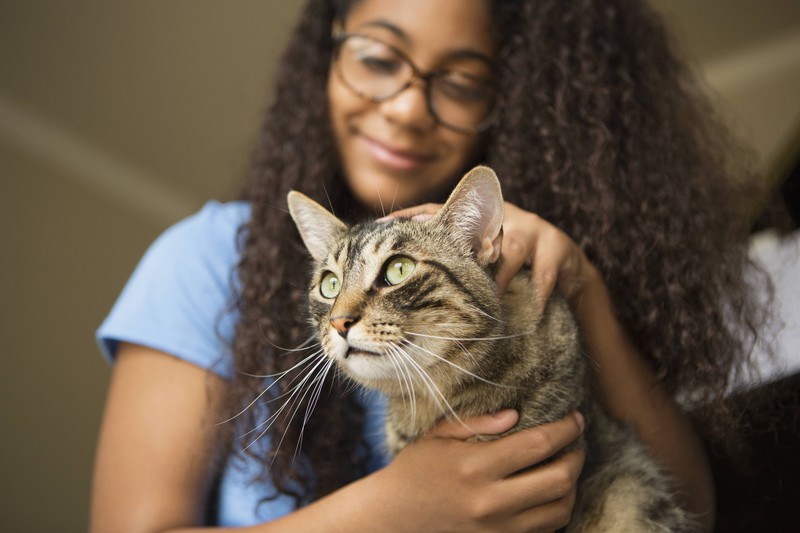Wenn deine Katzen von draußen wieder in die Wohnung kommt, solltest du sie nach Zecken untersuchen.