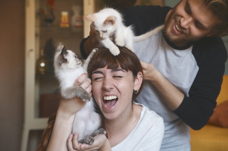 Wenn Katzen einen Artgenossen haben, können sie länger alleine bleiben.