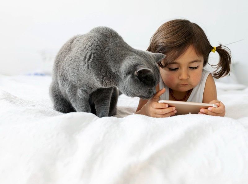 Es gibt viele Anzeichen für Katzen, dass sie ihren Menschen vertraut und sie wertschätzt.