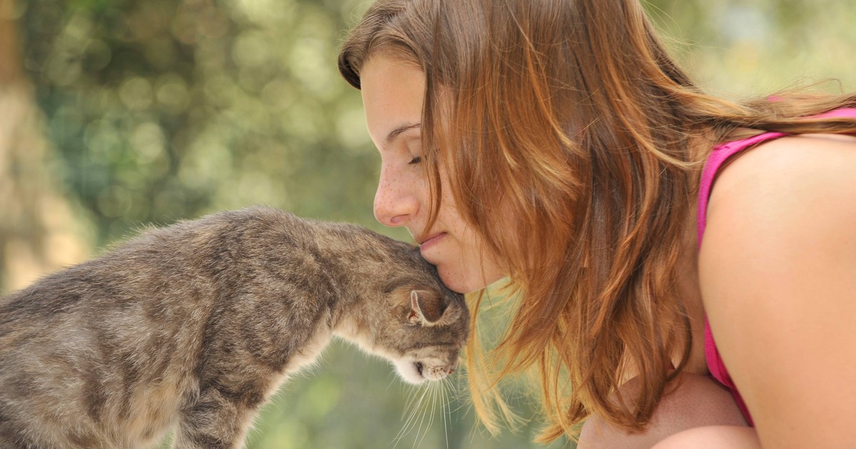 14 Anzeichen, an denen du erkennst, dass deine Katze dich liebt