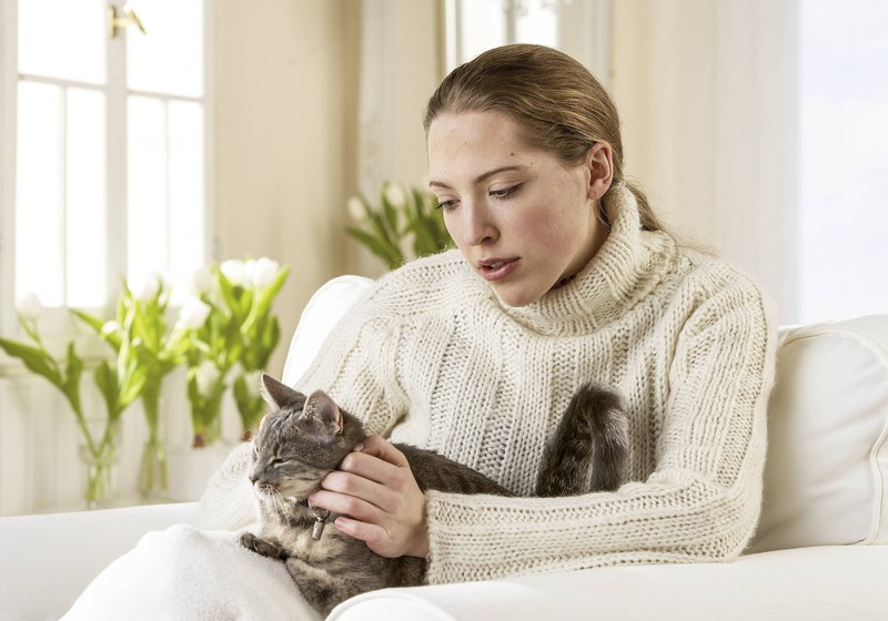 Alte Katzen brauchen immer noch Liebe und Beschäftigung.