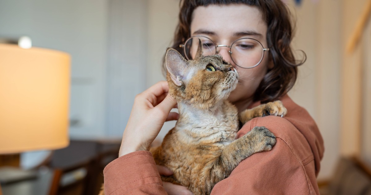 Deine Katze wird alt? 15 Dinge, die du wissen solltest