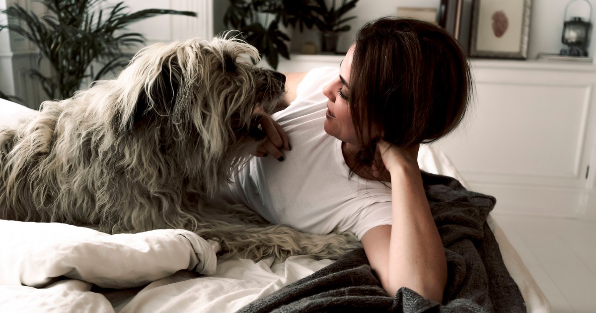 6 Anzeichen, dass dein Hund Schmerzen hat