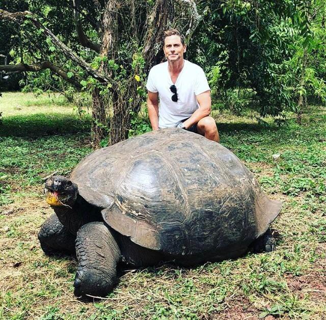 Die Schildkröte ist wirklich gigantisch geworden!