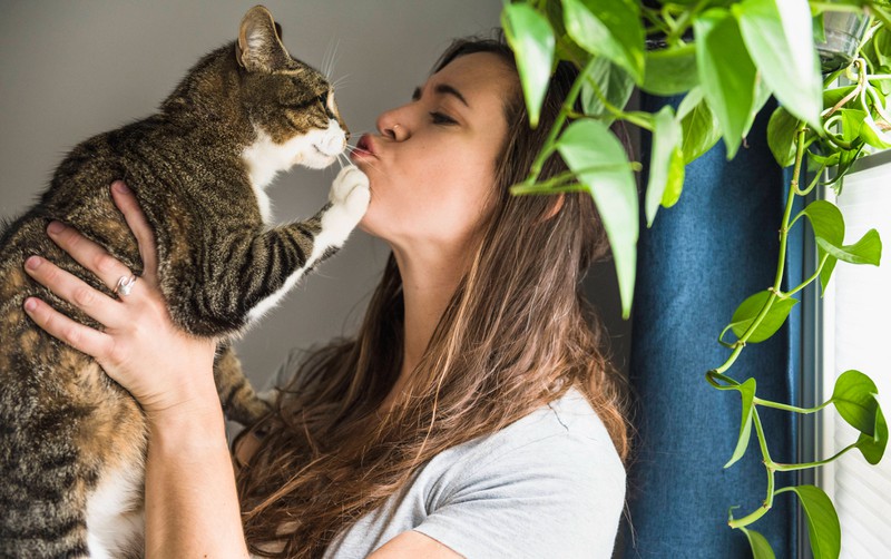 Eine Frau küsst ihre Katze, die von Zecken befreit ist.