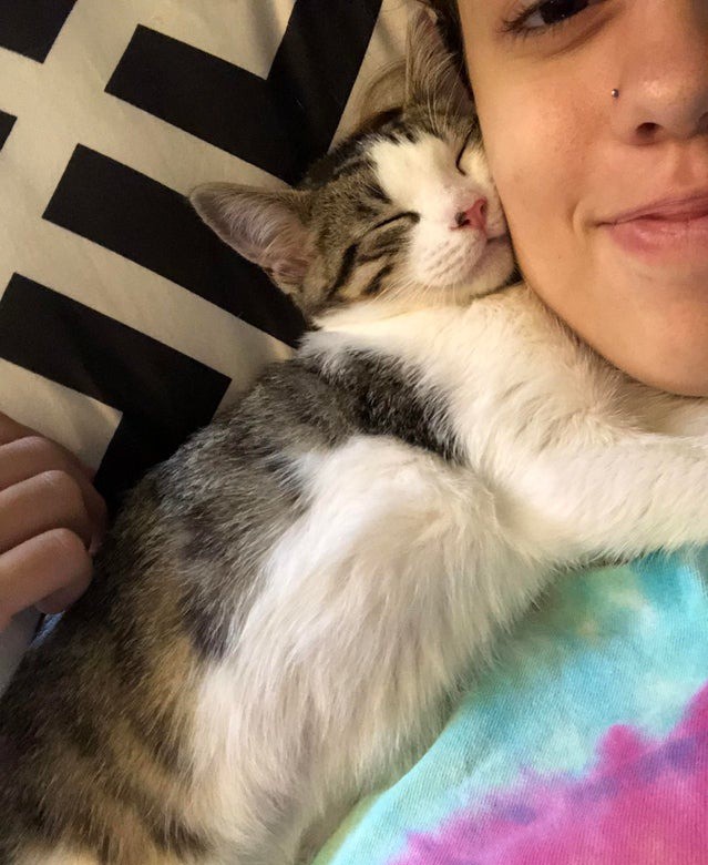 Die Katze kuschelt sich an die Frau, weil sie ihr ein neues Zuhause geschenkt hat.