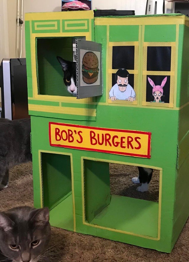 Die Katze hat ihren eigenen Burgerladen aus Karton bekommen.