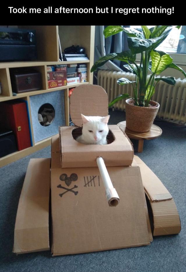 Die Katze hat während Corona einen eigenen Karton-Panzer bekommen.