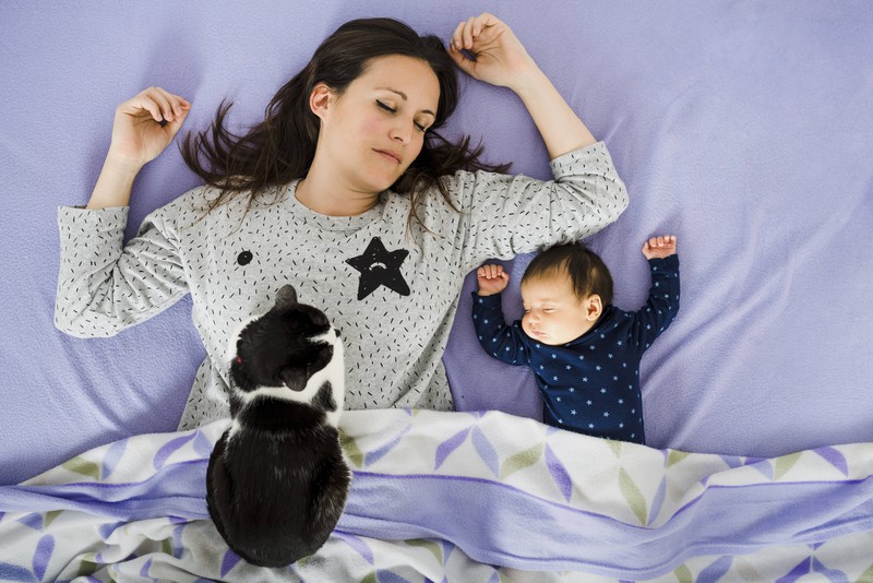 Eine Mutter, ihr Kind und ihre schwangere Katze beim schlafen.