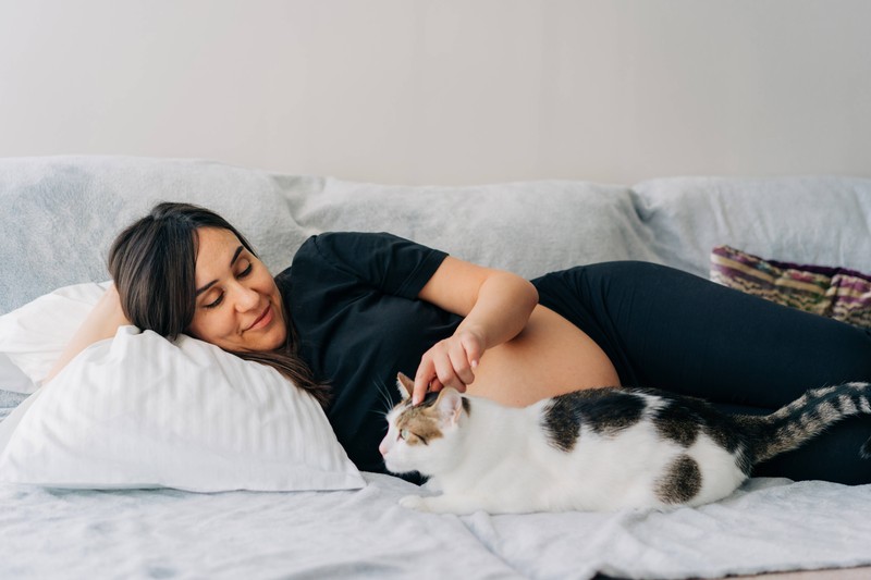 Woran erkennst du eine trächtige Katze überhaupt?