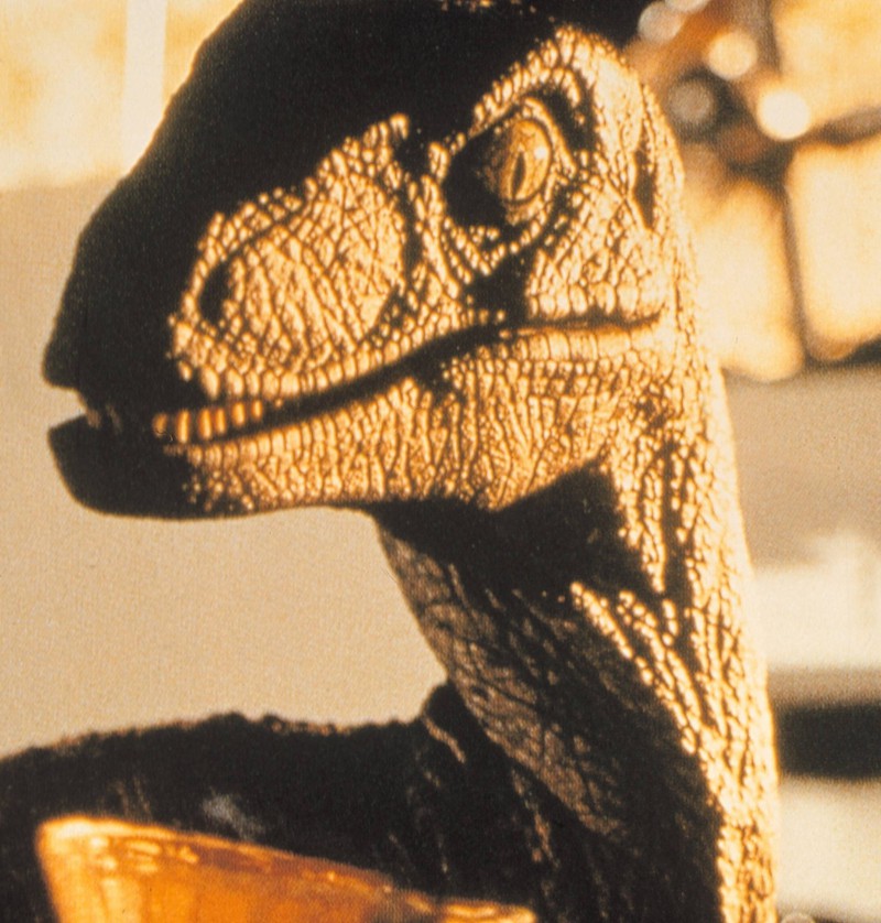 Das Kreischen der berühmten Velociraptoren aus Jurassic Park ist in Wirklichkeit das Geräusch, das Landschildkröten beim Verkehr machen