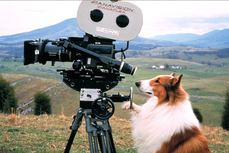 Lassie (1994) ist ein berühmter Tierfilm