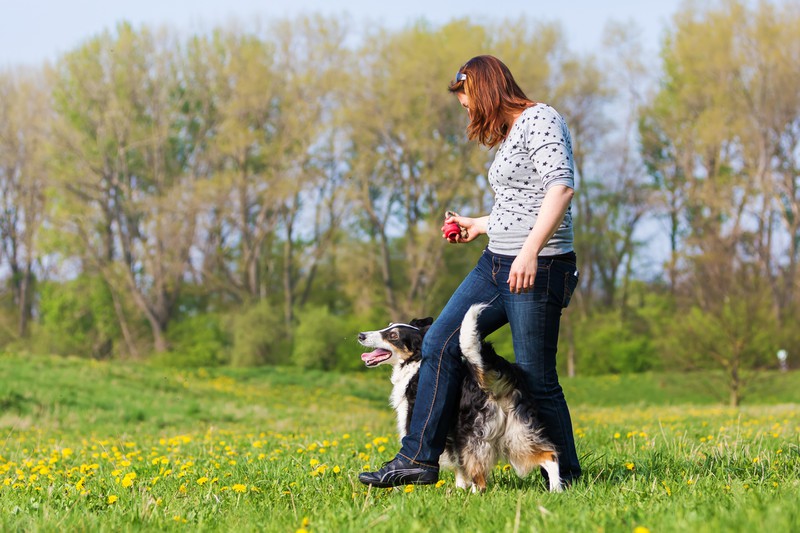 Eine Frau bringt ihrem Hund steppen bei