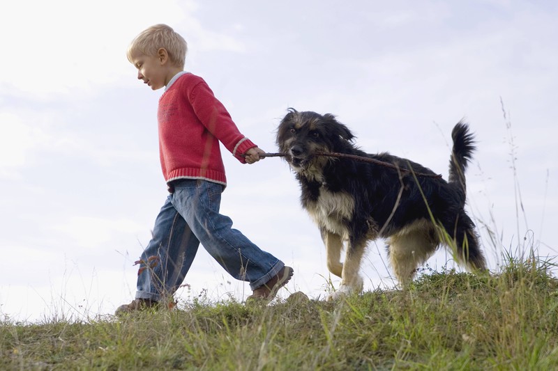 Der Hund begleitet den kleinen Jungen.