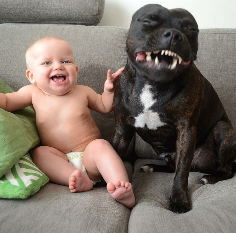 Baby und Bulldogge sitzen auf der Couch