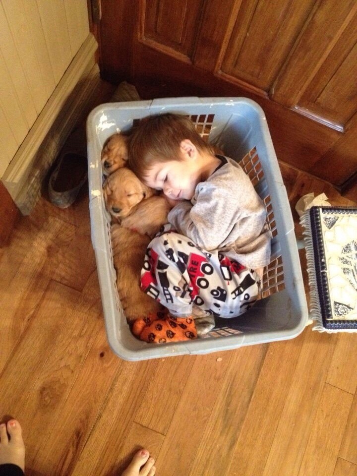 Ein Baby kuschelt mit Welpen im Wäschekorb