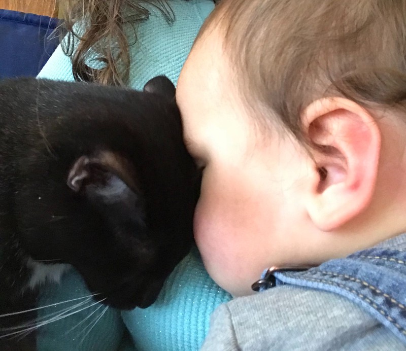 Eine Katze und ein Junge kuscheln