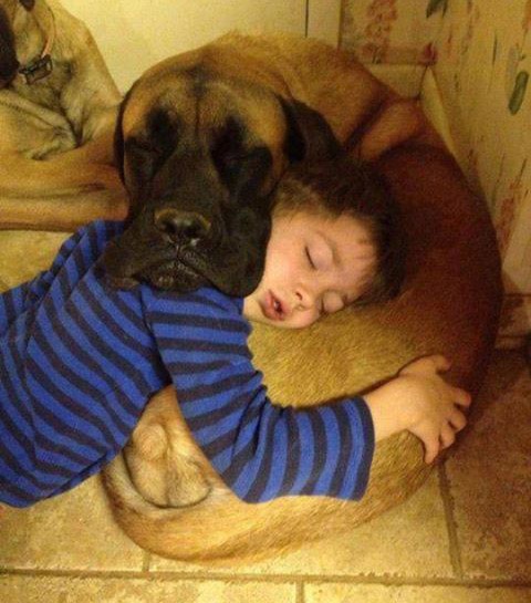 Kind und Hund sind gegenseitig das Kopfkissen