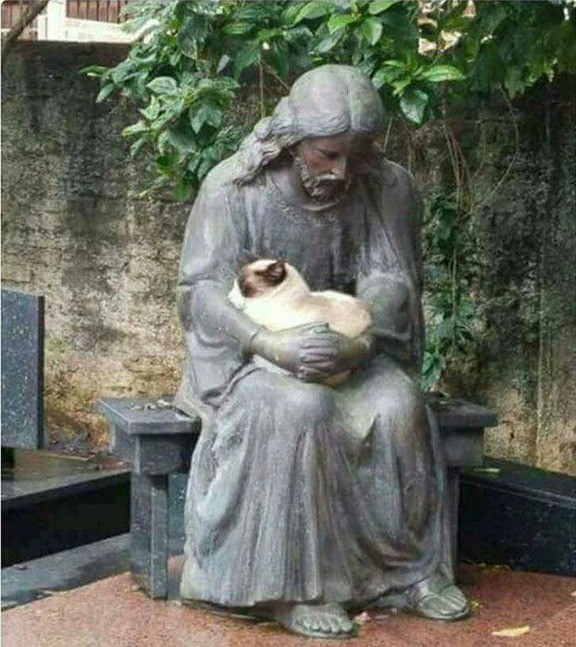 Die Katze kam auf die seltsame Idee sich in den Schoß einer Statue zu setzen.