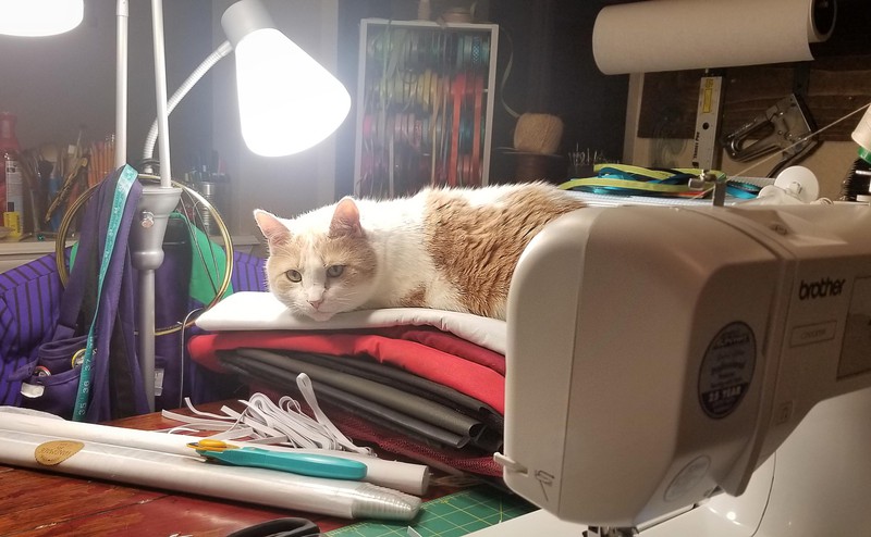 Katze sonnt sich unter der Schreibtischlampe