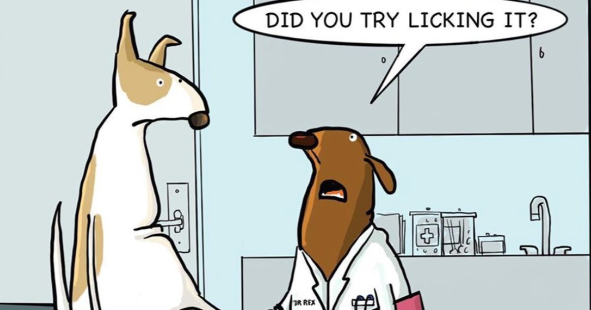 Künstler zeigt in lustigen Comics, was Hunde denken