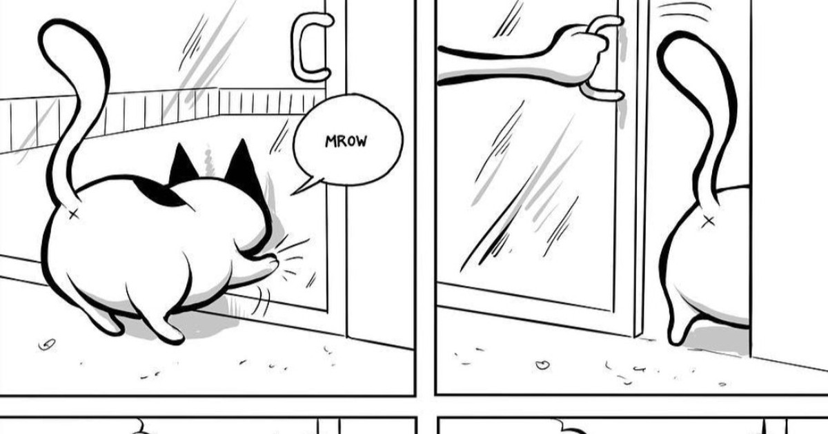 Künstler zeigt in lustigen Comics, wie das Leben mit Katzen ist