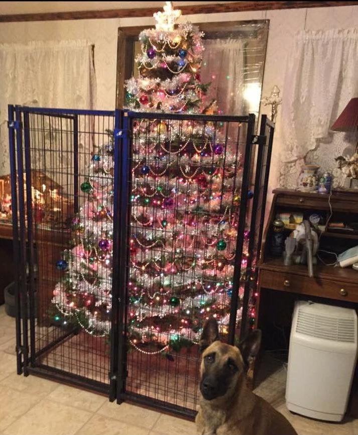 Ein Hund kann nicht an den Weihnachtsbaum herankommen.