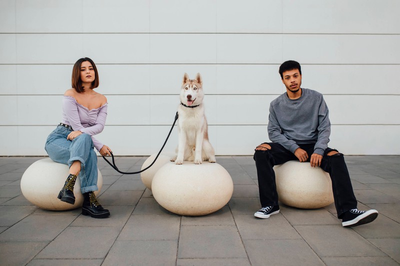 Dogsharing: Zwei Menschen teilen sich einen Hund