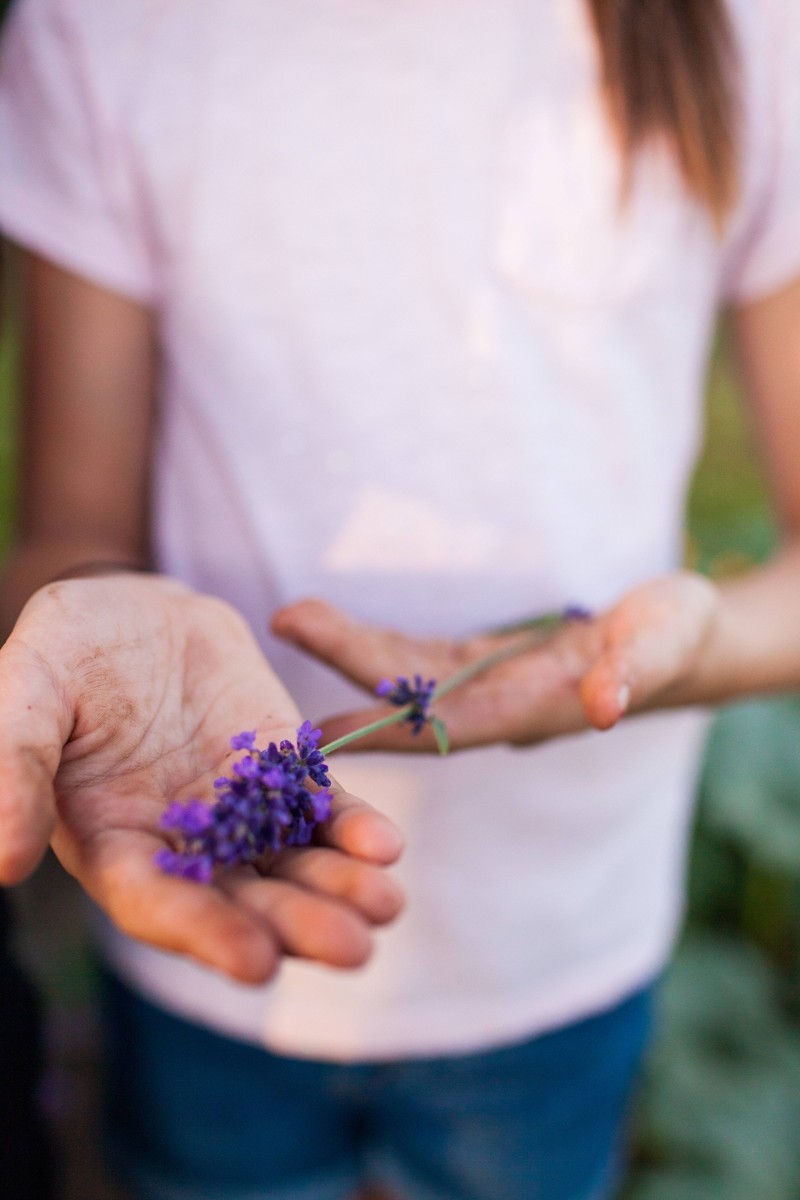 Der Geruch von Lavendel – auch in Parfums – verschreckt Wespen.