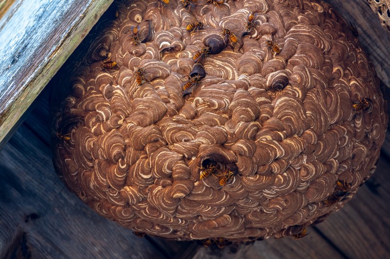 Früherkennung ist entscheidend.
