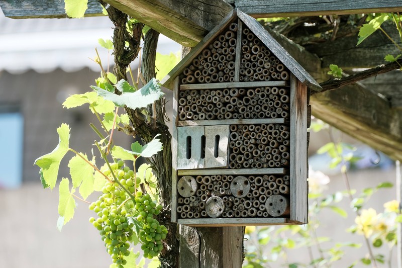 Insektenhotels können Bienen und anderen Insekten beim Überwintern helfen.
