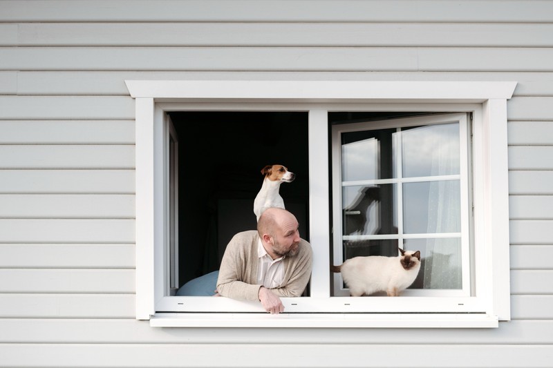 Regelmäßiges Lüften sowie Abdunkeln der Wohnung können die Risiken für deine Katze minimieren.
