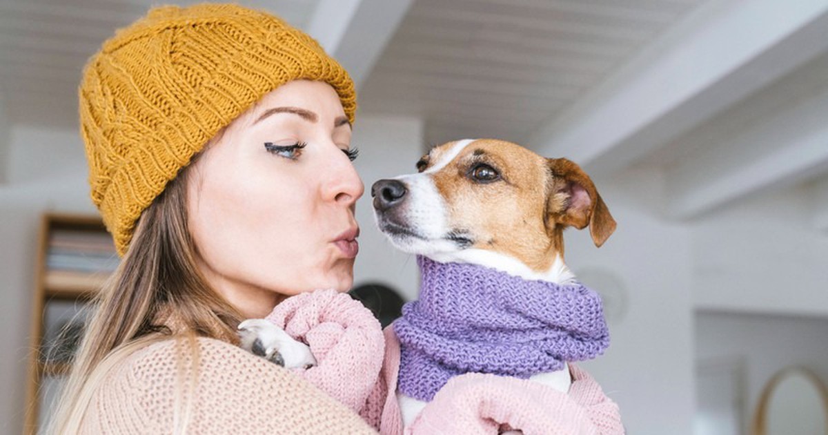 Erkältung bei Hunden: Symptome, Pflege und der Tierarztbesuch in der Übersicht