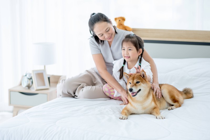 Eine glückliche Familie liegt mit ihrem Hund im Schlafzimmer.