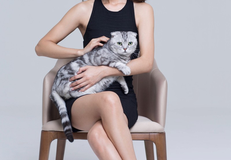 Heiserkeit bei Katzen ist ein Thema, das oft übersehen wird, aber es kann auf ernsthafte gesundheitliche Probleme hinweisen, die nicht ignoriert werden sollten.