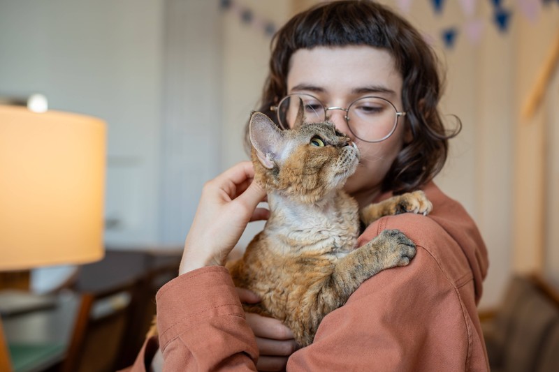 Besonders in der kälteren Jahreszeit suchen Katzen körperliche Nähe.