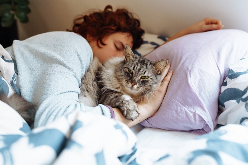 Wieso legt deine Katze wirklich ihre Pfote auf dich?