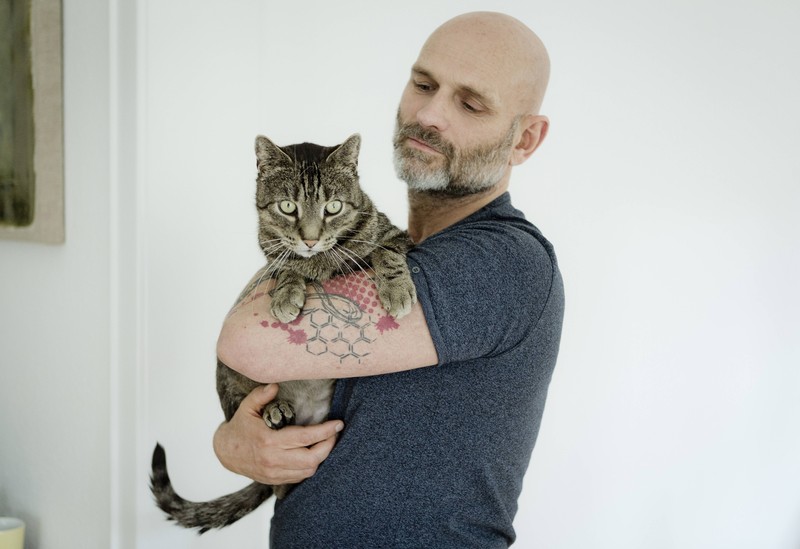 Kahle Stellen am Bauch einer Katze können bei Katzenbesitzern oft Besorgnis auslösen.