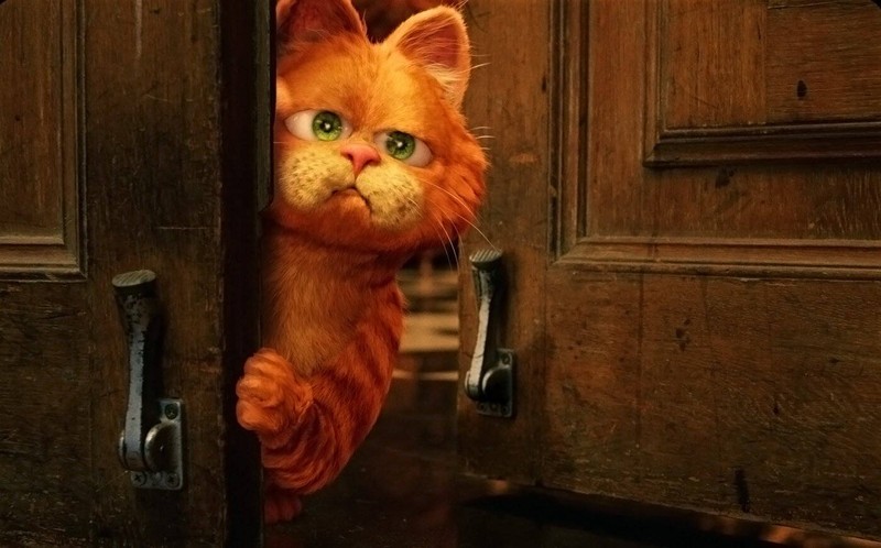Garfield auf der Suche nach Lasagne.