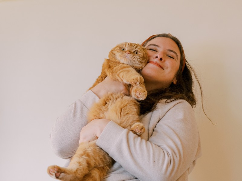 Rote Katzen und Menschen haben einige Gemeinsamkeiten.