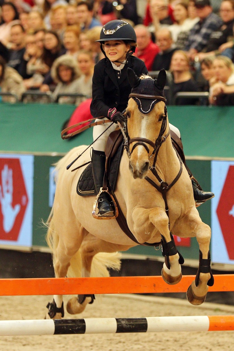 Das Deutsche Reitpony ist bei Kindern ein beliebtes Springpferd, welches bei Turnieren sehr erfolgreich abschneiden kann.