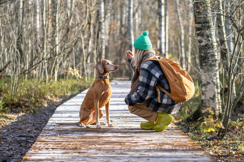 Mit einem loyalen Wachhund fühlst du dich jederzeit rundum beschützt.