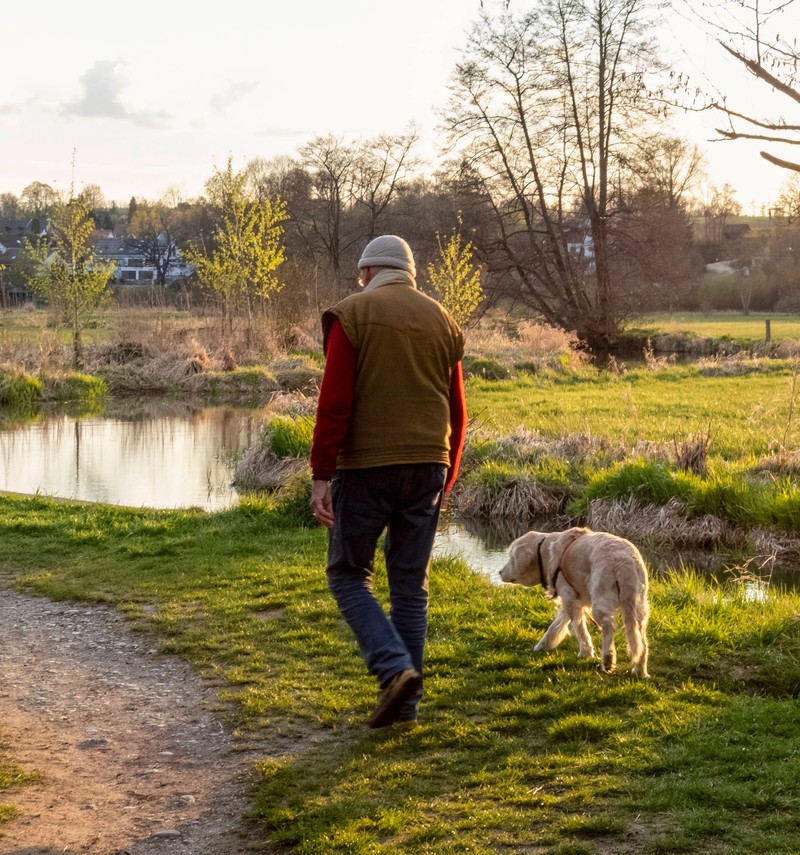 Um den Hund mitnehmen zu können musst du zunächst einen Fragebogen ausfüllen.