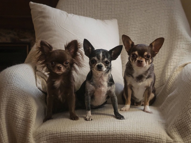 Der Name Emma hat seinen Ursprung im Griechischen und bedeutet „die Große“.