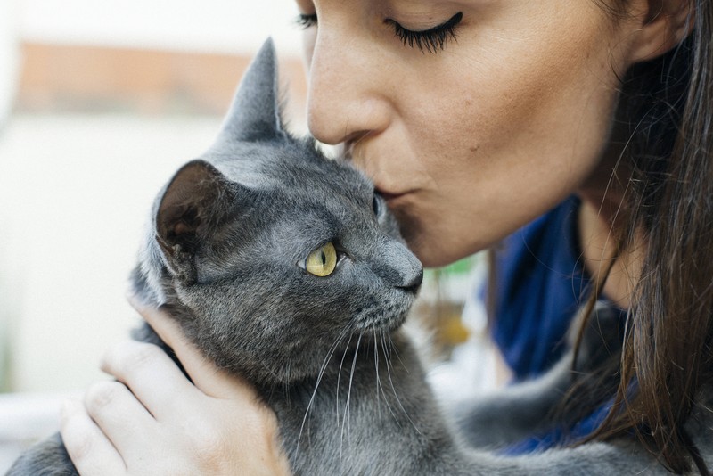 Speziell für Allergiker geeignete Katzen können auch die nötige Zuneigung bekommen.