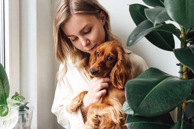 Vorsicht bei Zimmerpflanzen – viele sind für Hunde giftig.