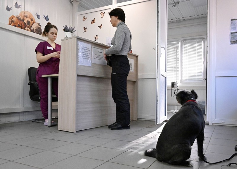 Mit einer Hundekrankenversicherung kannst du deinem Hund die beste medizinische Versorgung. geben.