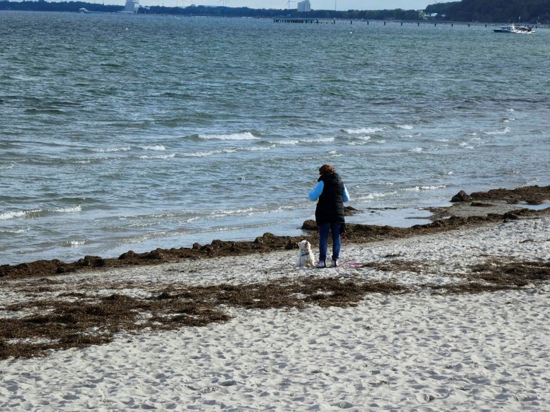 Am Strand in Scharbeutz gibt es ausreichend Platz zum Toben und Buddeln.