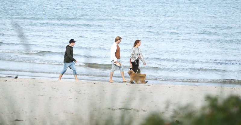 Am Timmendorfer Strand darf dein Hund frei laufen.